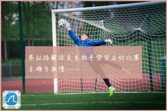 弗拉格解读麦克朗手势背后的比赛乐趣与激情