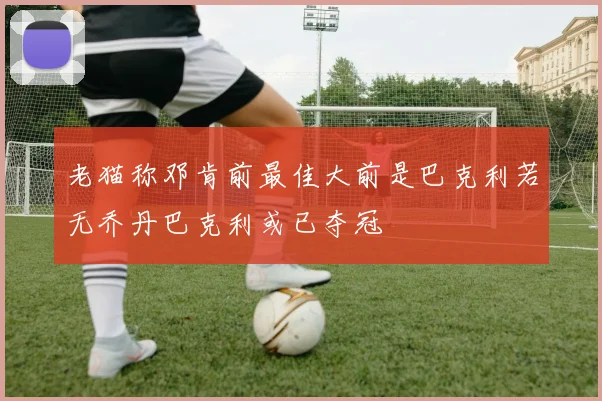 老猫称邓肯前最佳大前是巴克利若无乔丹巴克利或已夺冠
