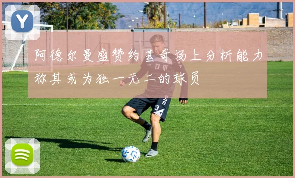 阿德尔曼盛赞约基奇场上分析能力称其或为独一无二的球员