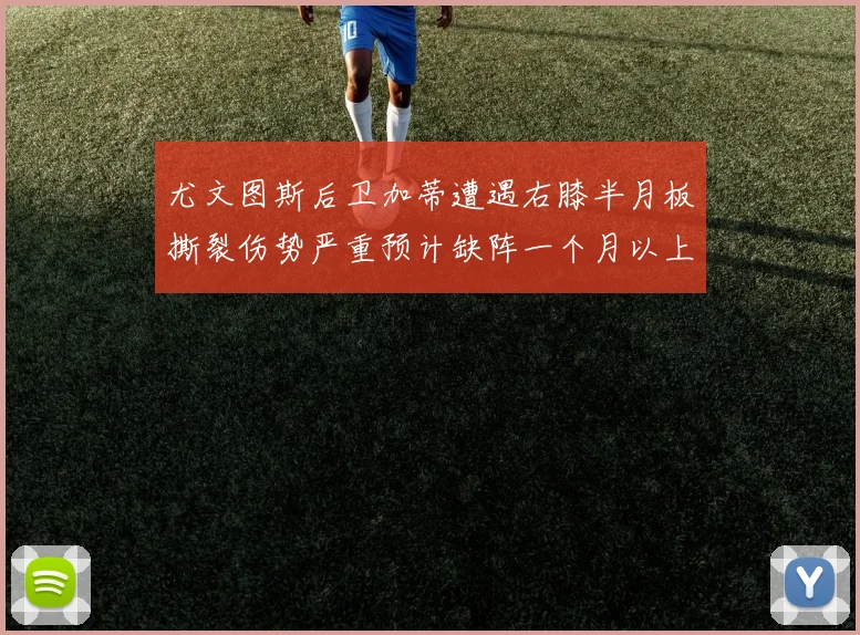 尤文图斯后卫加蒂遭遇右膝半月板撕裂伤势严重预计缺阵一个月以上