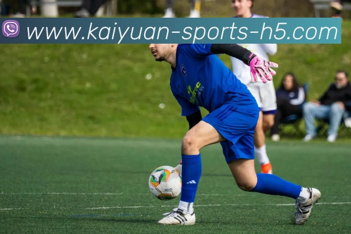 开元体育服务体系